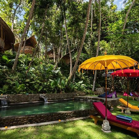 Bamboo Turtles Ecolodge Ubud Dış mekan fotoğraf