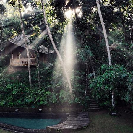 Bamboo Turtles Ecolodge Ubud Dış mekan fotoğraf