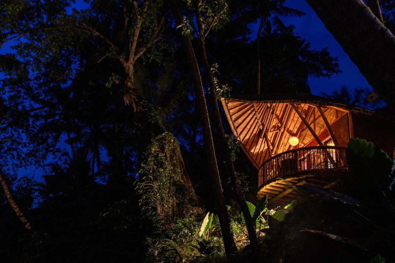 Bamboo Turtles Ecolodge Ubud Dış mekan fotoğraf