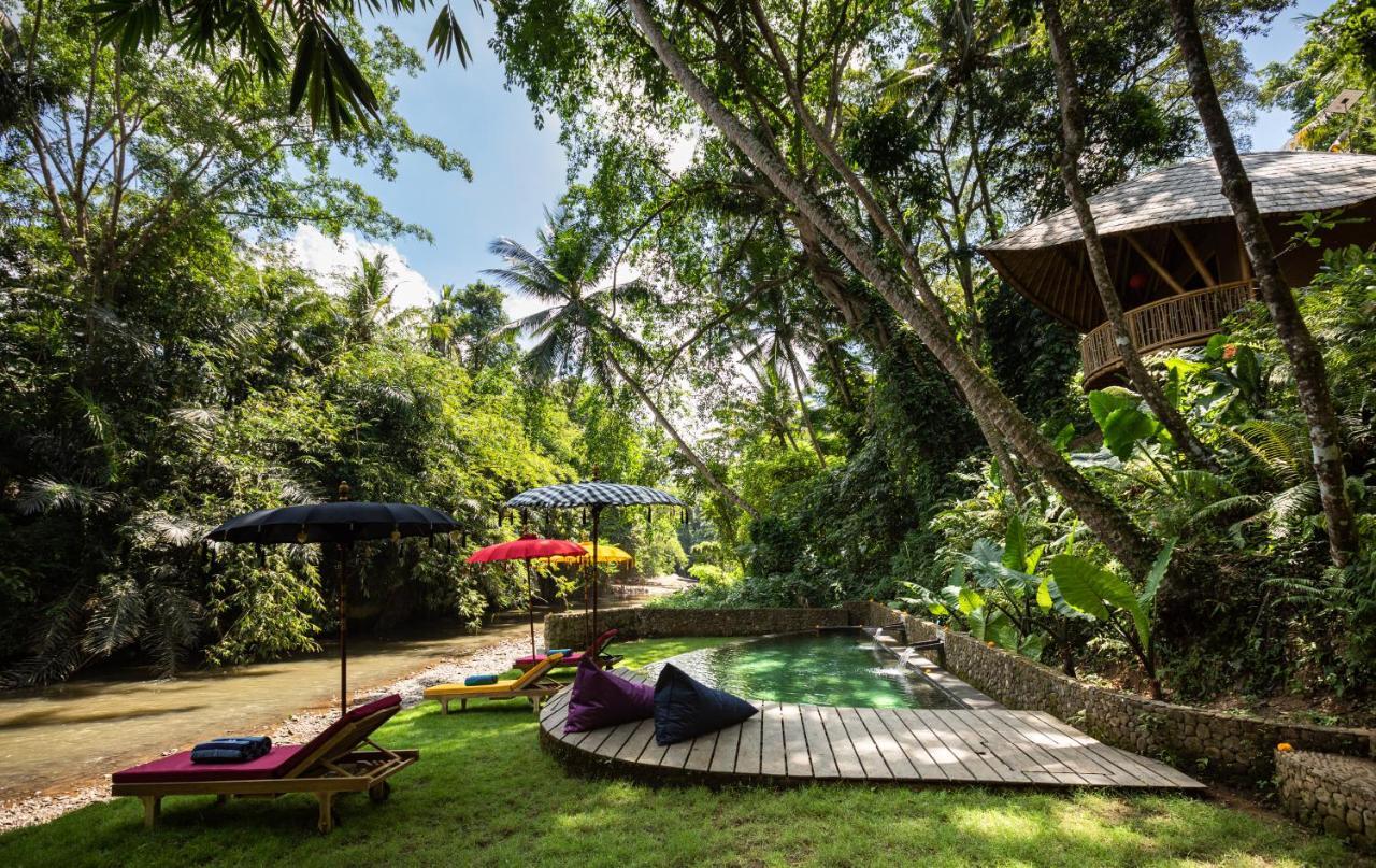 Bamboo Turtles Ecolodge Ubud Dış mekan fotoğraf