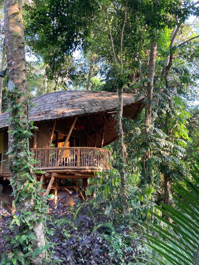Bamboo Turtles Ecolodge Ubud Dış mekan fotoğraf