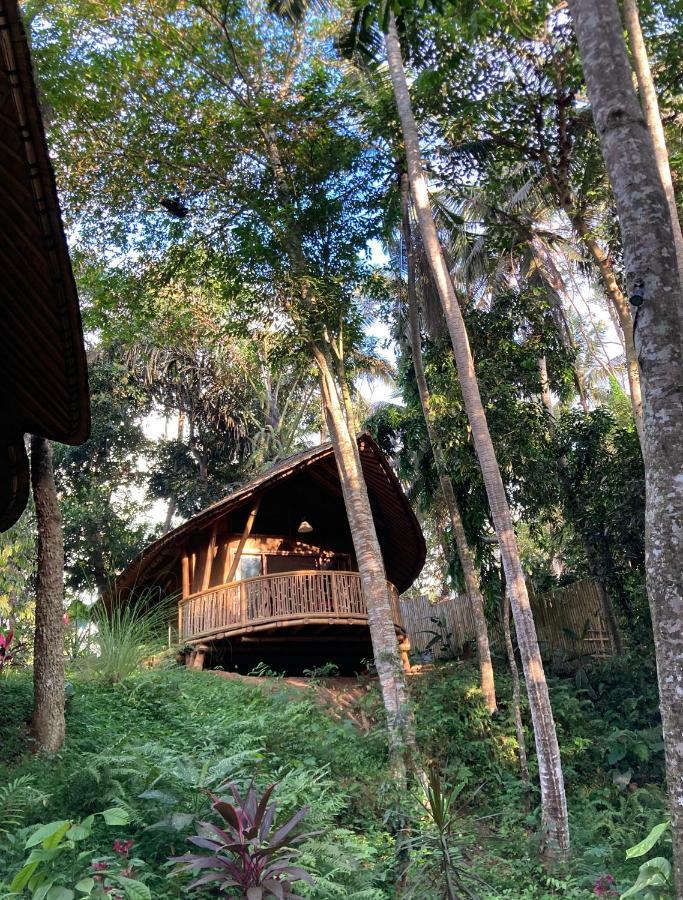 Bamboo Turtles Ecolodge Ubud Dış mekan fotoğraf