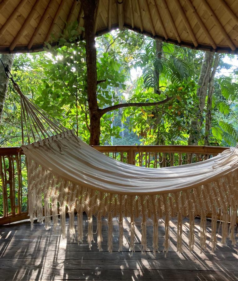 Bamboo Turtles Ecolodge Ubud Dış mekan fotoğraf